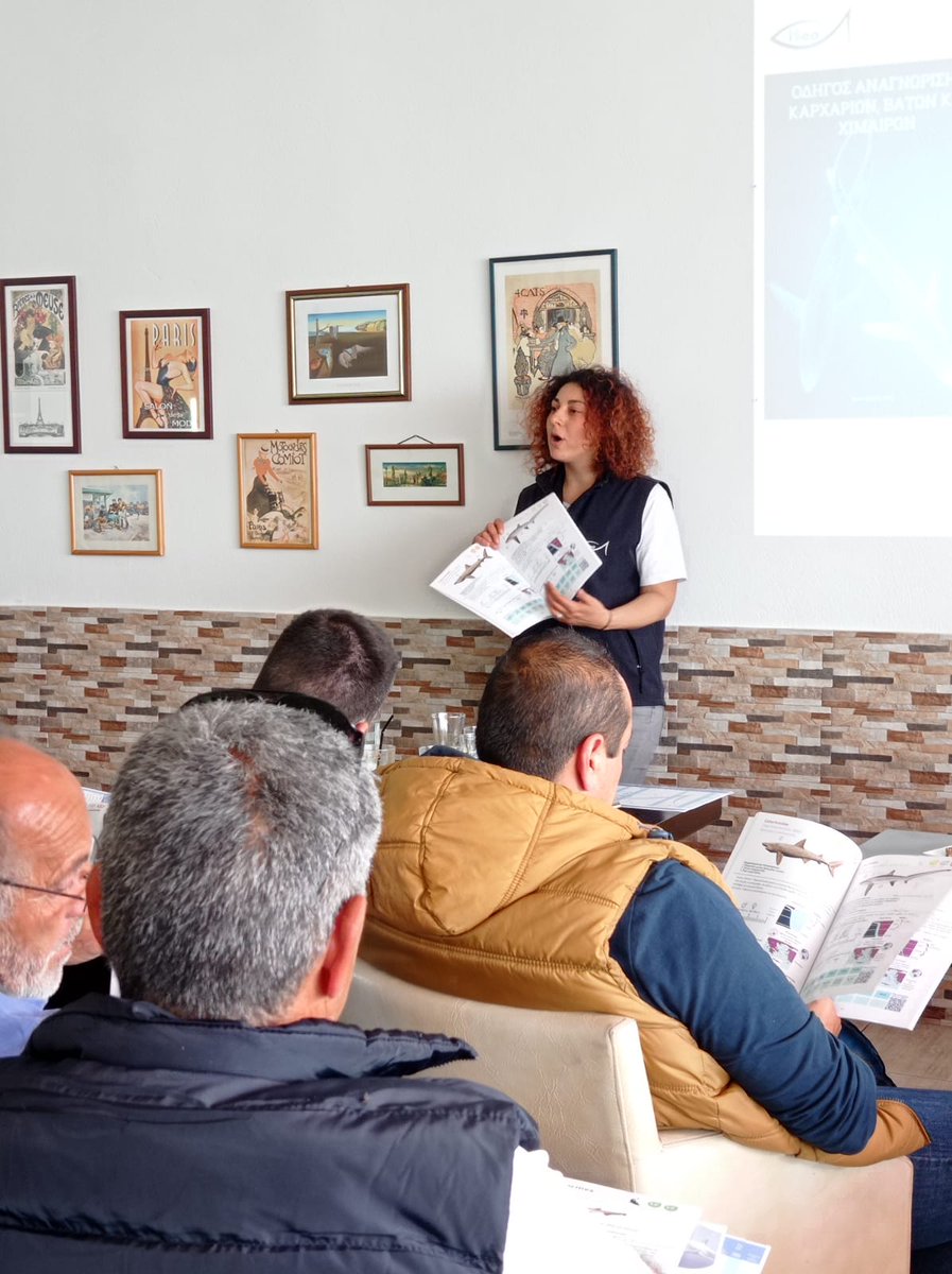 Informing fishers on the existing legal framework & the proper identification of #sharks & #rays within #obSERVINGNATURE project in Kavala, #Greece! Many things to share!