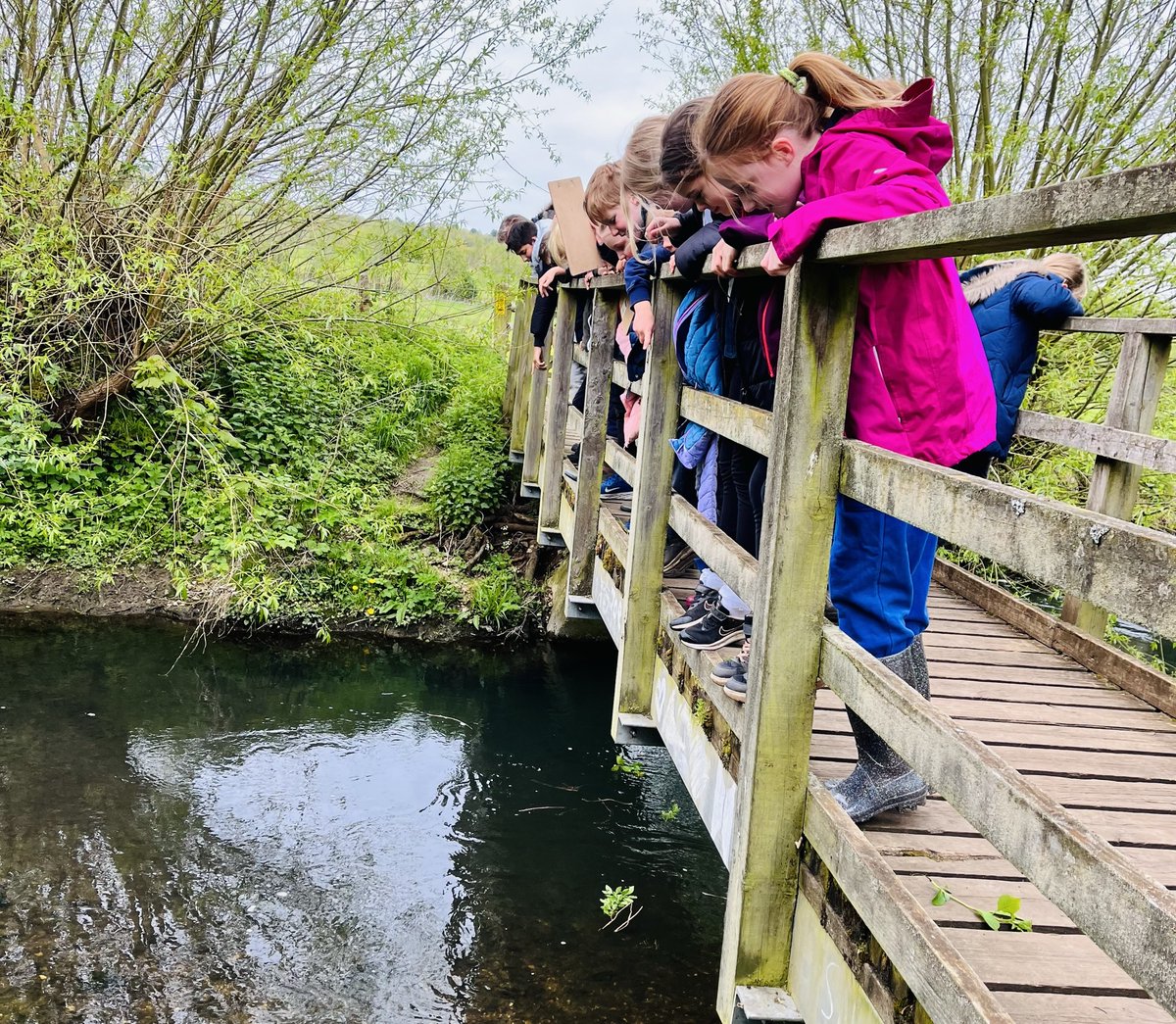 1/2 Massive thanks to Mr. and Mrs. Fox for organising and running our sponsored 'Woodland Challenge' last week.
We built Dens, Wildlife Refuges, Butterfly habitats all while identifying types of trees, birds and other wildlife 📷