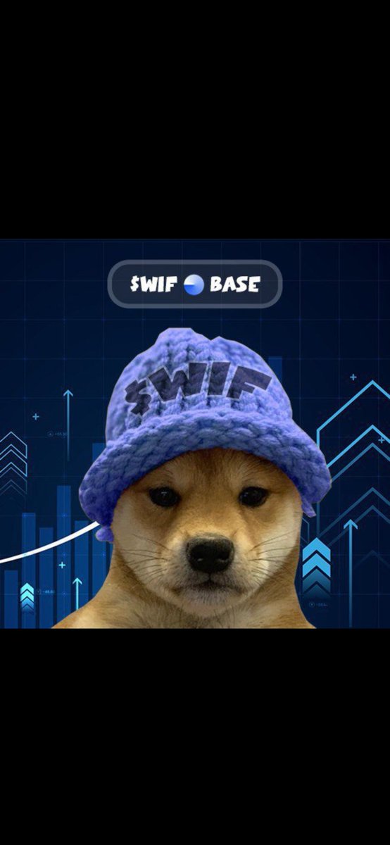 Michaell163237's tweet photo. @Cryptogains9 Definitely $WIF #WIFBASE #DOGWIFHATE #BASECHAIN 🚀🔥💎

@wifbasetoken 🧢🐕 https://t.co/aBfuUlkBTc