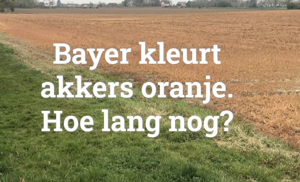 "Het gebruik van onkruidverdelgers om alle planten op de akker te vernietigen, is een slechte zaak voor mens en milieu." ☘ #glyfosaat velt.nu/nieuws/bayer-k…