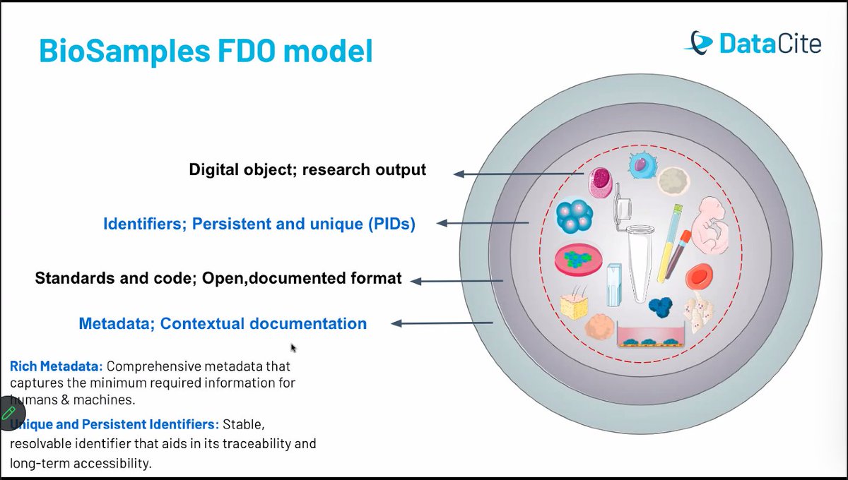 fairimpact_eu's tweet image. ❓How do we improve stakeholder engagement and #mapping process framework?

LIVE NOW▶️Sara El-Gebali from @DataCite is now diving into feedback presentation on &quot;A FAIR-IMPACT Framework Approach to Early-Stage Mapping Strategies for #Biosamples #Metadata&quot;
➡️tinyurl.com/2fpad9d8