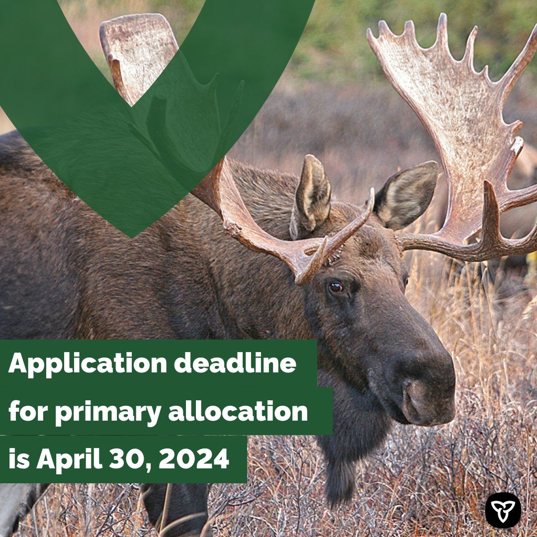 FishWildlifeON's tweet photo. If you’re hoping to get a moose tag in 2024, don’t forget to apply for the primary allocation before the April 30th deadline.
Find tag quotas and hunt codes at: https://t.co/Uklns20BmA
#Hunting #MooseHunting #MooseHunter #HuntOntario #MooseDraw https://t.co/KsbYFHDJKQ