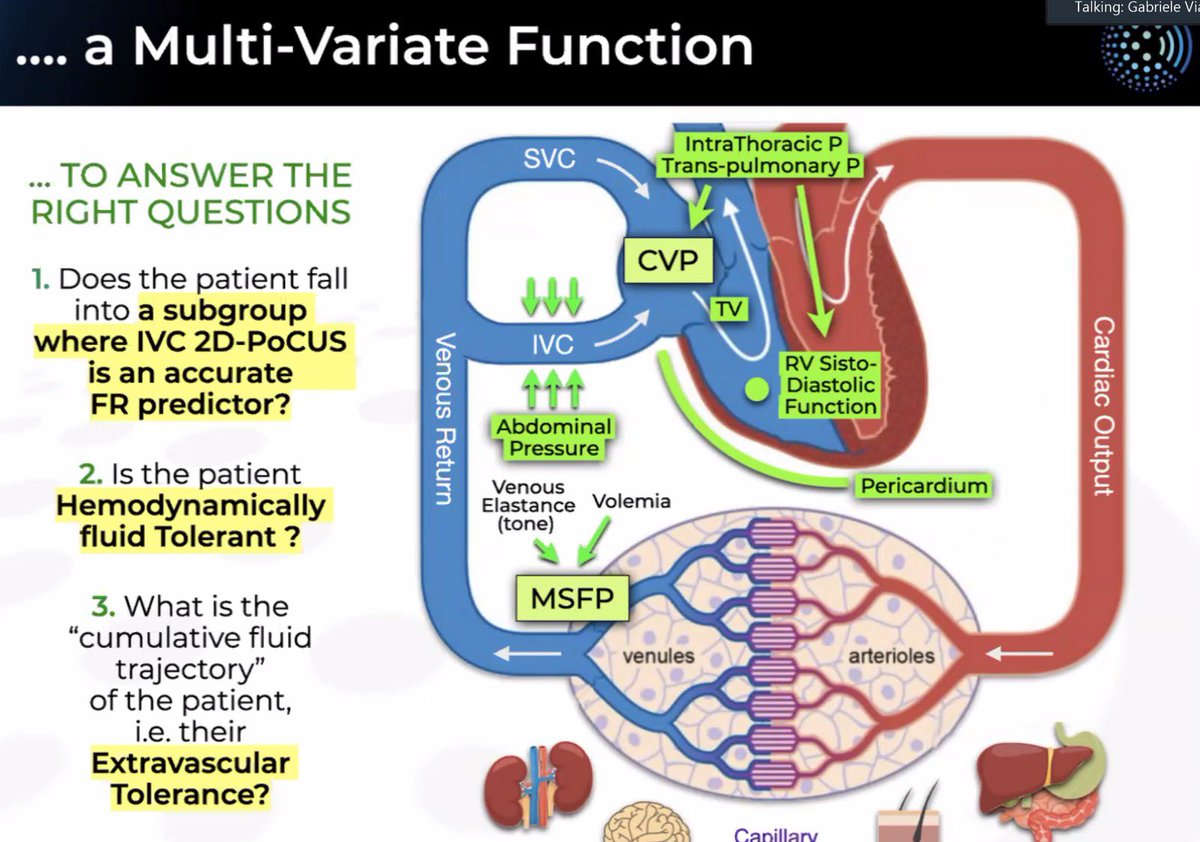 Fantastic talk from @ViaWINFOCUS on the IVC A tour de force of Guytonian physiology and echocardiography The IVC is affected by multiple variables. Please don’t over simplify it to just a fuel tank. #pocus #echofirst
