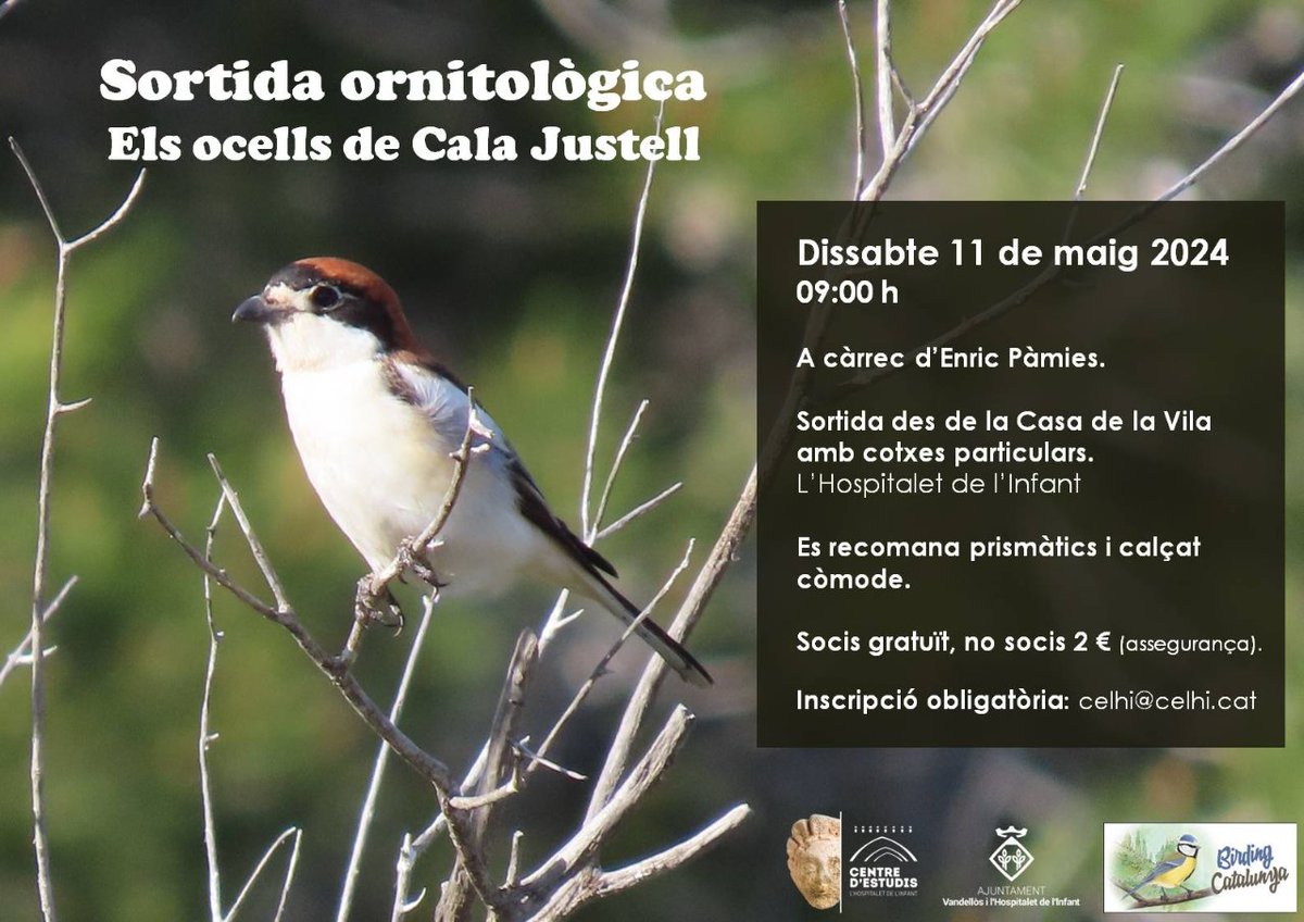 🪶 El Centre d'Estudis de l'Hospitalet de l'Infant (@CELHI_) ha organitzat una sortida ornitològica per al dissabte 11 de maig, amb la guia experta d'Enric Pàmies. 📥 Inscripció imprescindible a celhi@celhi.cat (les places són limitades).
