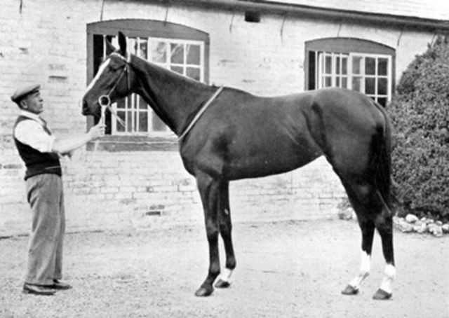From humble beginnings (finishing 8th in a seller on debut) Rockfel developed into a filly of exceptional merit, winning the 1938 1000 Guineas, Oaks and Champion Stakes. Rockfel ended the year bracketed on 9st 7lbs (with Derby hero Bois Roussel) in the 3-year-old Free Handicap.