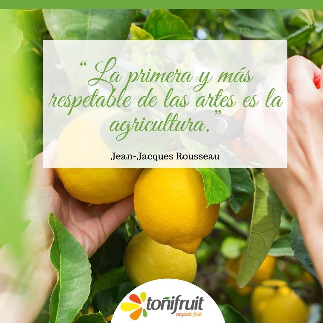 Toni_fruit's tweet photo. 🌿 “La primera y más respetable de las artes es la agricultura.” ¿Estás de acuerdo con esta frase? 💚   #agricultura #ecológico https://t.co/8S7ELJ4vLl