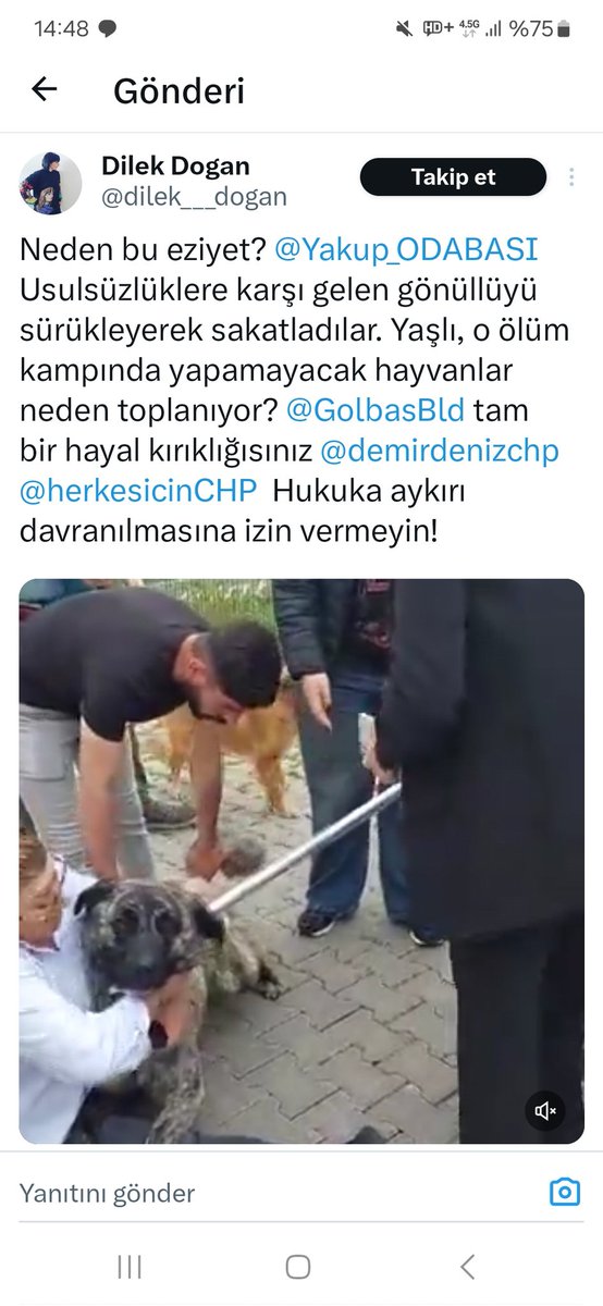 Sayın Cumhurbaşkanım @RTErdogan bizzat imzaladığınız hayvan hakları koruma kanunlarına aykırı gelen @herkesicinCHP @eczozgurozel @GolbasBld ekipleri sizin iradenizi hiçe sayarak hayvanları öldürüyor gönüllü kadinlari yerde sürüklüyor kadına şiddet uyguluyorlar