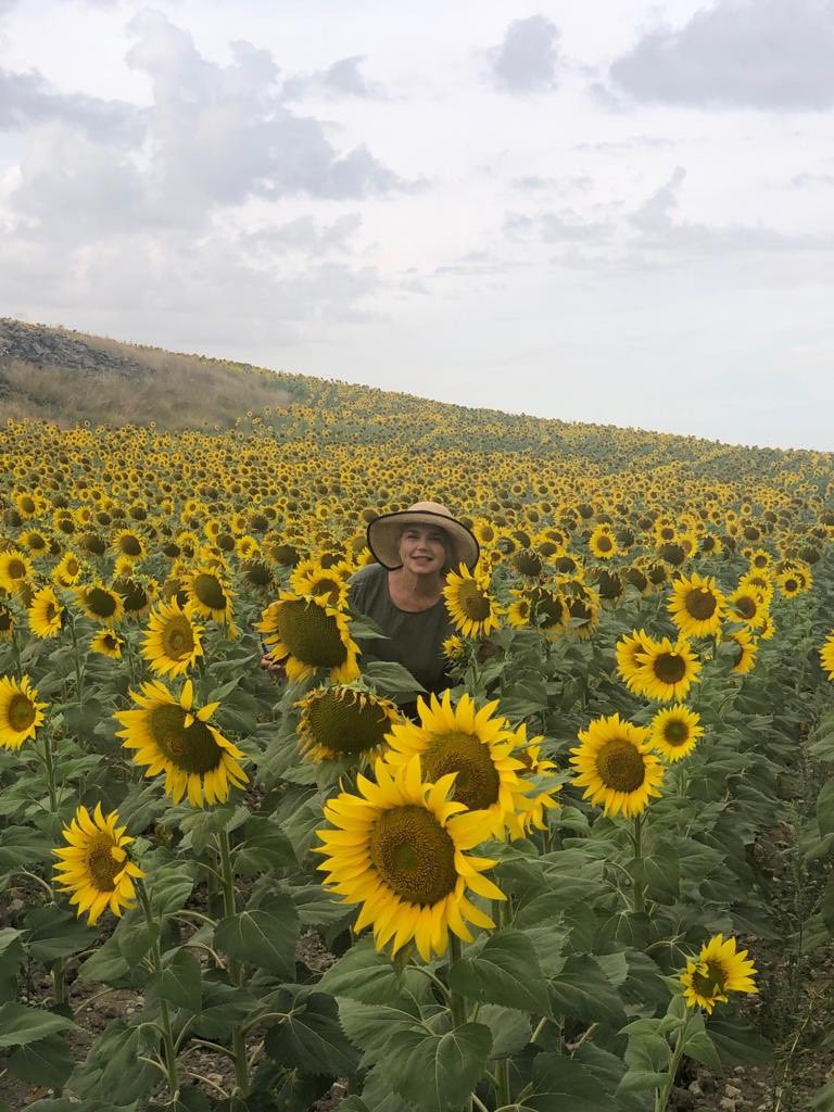 Decided to participate in the #Bananacide by digging out a photo from pre Covid trip to Spain #nobananas #sunflowers #fieldofyellow #mellowyellow 🍌🌻☀️