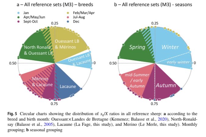 @NannonStevens Experimental data from lacaune & merino sheep provide new methodological & theoretical grounds to investigate autumn lambing in the past by Balasse et al. 2024 - New ref datasets to estimate the seasonality of birth in the M3 of sheep - New ref datasets for summer & autumn birth