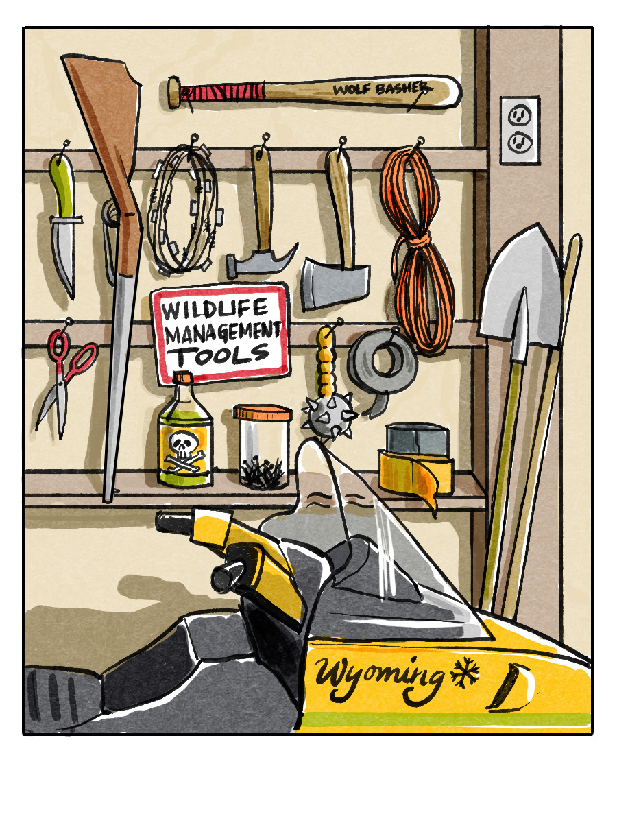 endangered's tweet image. The recent brutal torture of Theia the young wolf in Wyoming is not an isolated event.  Wolves, coyotes, and other animals not valued for hunting are tortured and killed regularly for “sport” and “fun” in the state. The@USFWS needs to #RelistWolves