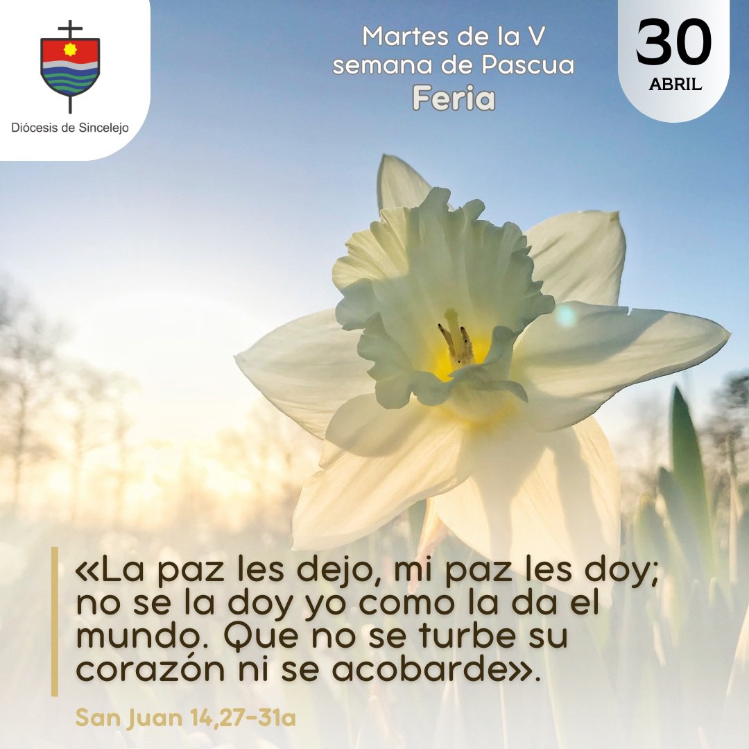 #EvangelioDelDía #Pascua2024 #PalabraDelSeñor