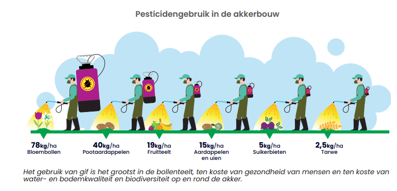 In #bloembollen wordt veel meer pesticide gebruikt dat in de rest van de akkerbouw. En binnen de bloembollensector steekt de #lelieteelt er nog eens ver boven uit met 114 kg/ha.