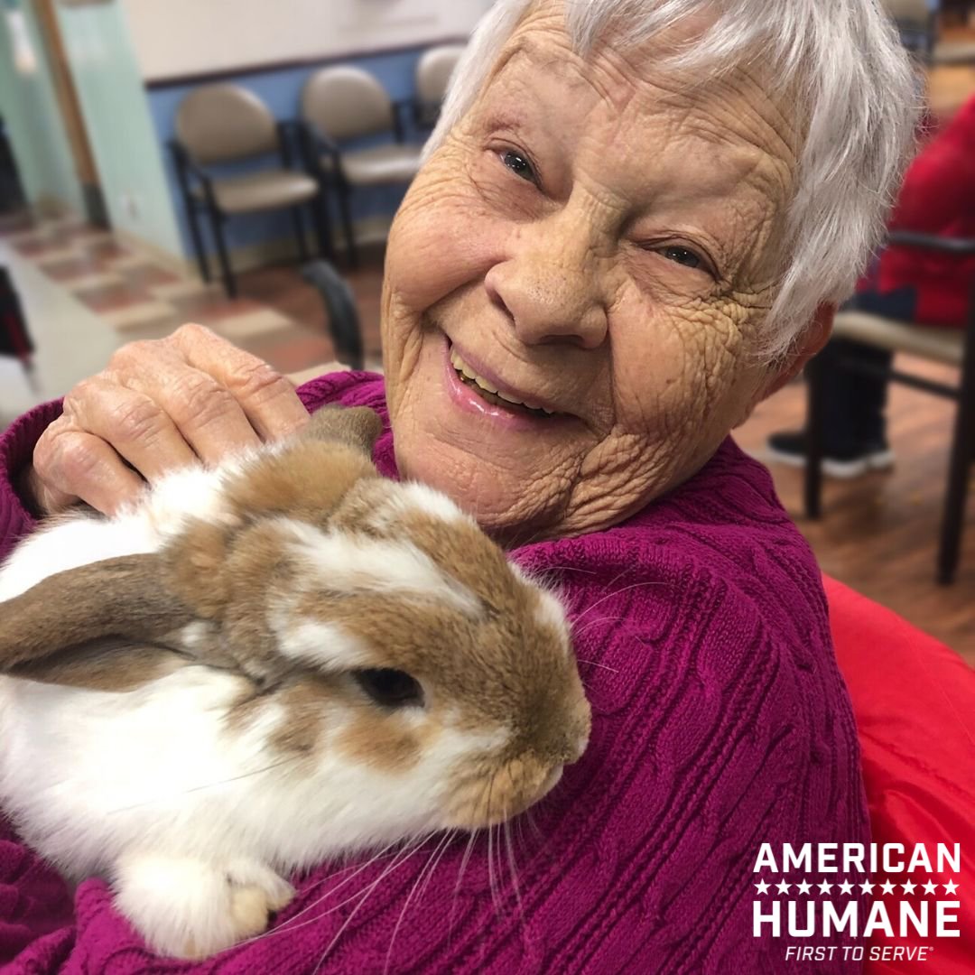 Today is #NationalTherapyAnimalDay, a time to honor the animals who bring comfort, joy, and healing to those in need.

To all the therapy animals and their handlers: thank you for touching the lives of so many.