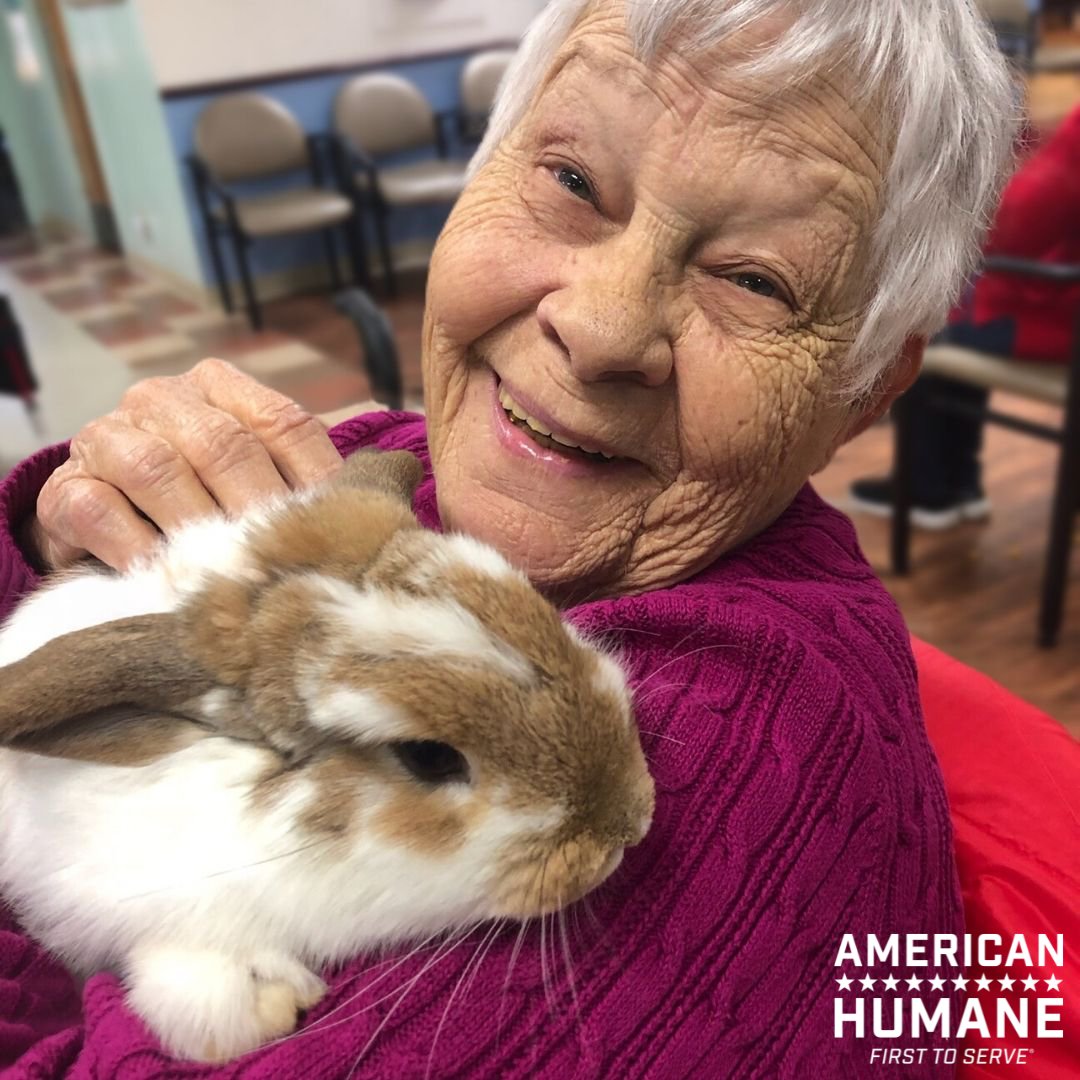 Today is #NationalTherapyAnimalDay, a time to honor the animals who bring comfort, joy, and healing to those in need. To all the therapy animals and their handlers: thank you for touching the lives of so many.