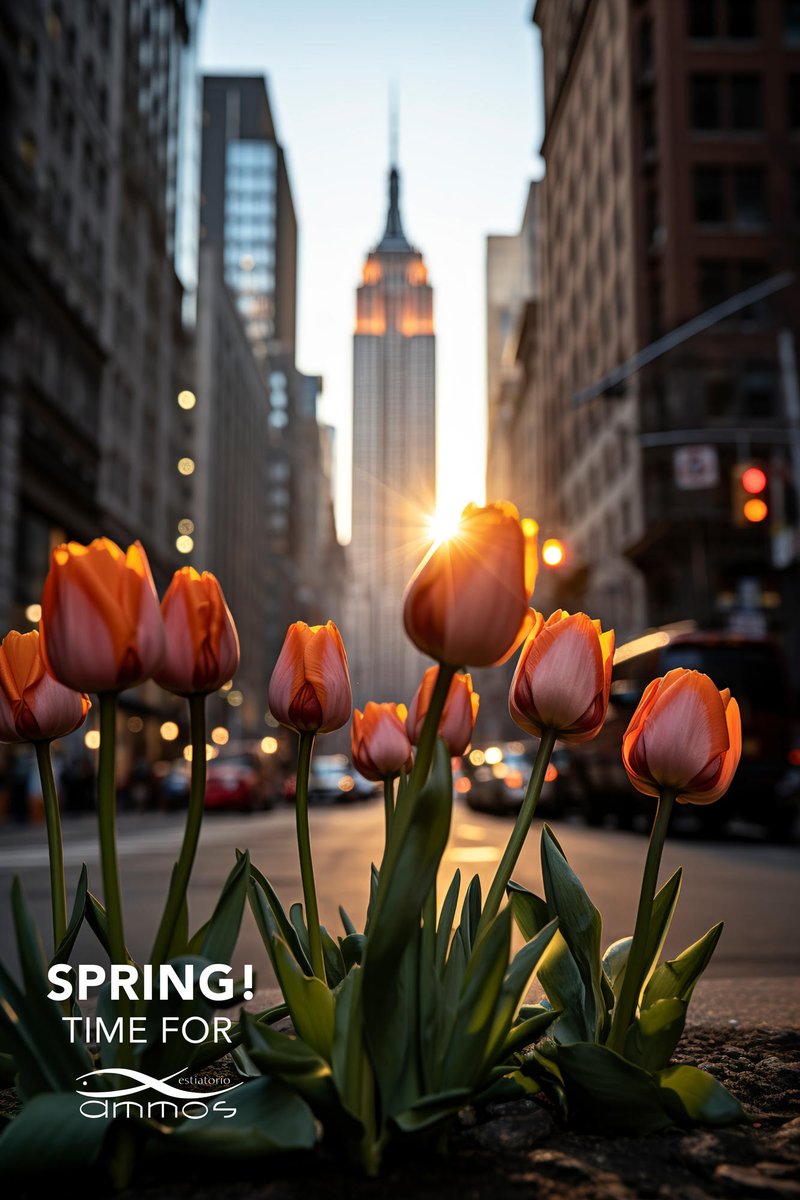 #spring #springforward #springishere #april #may #springlove #springlover #springtime #springfun #springevening #springbreak #lovespring @AmmosEstiatorio @AmmosNewYork #Greek #Greece #Restaurant #Manhattan #NewYork