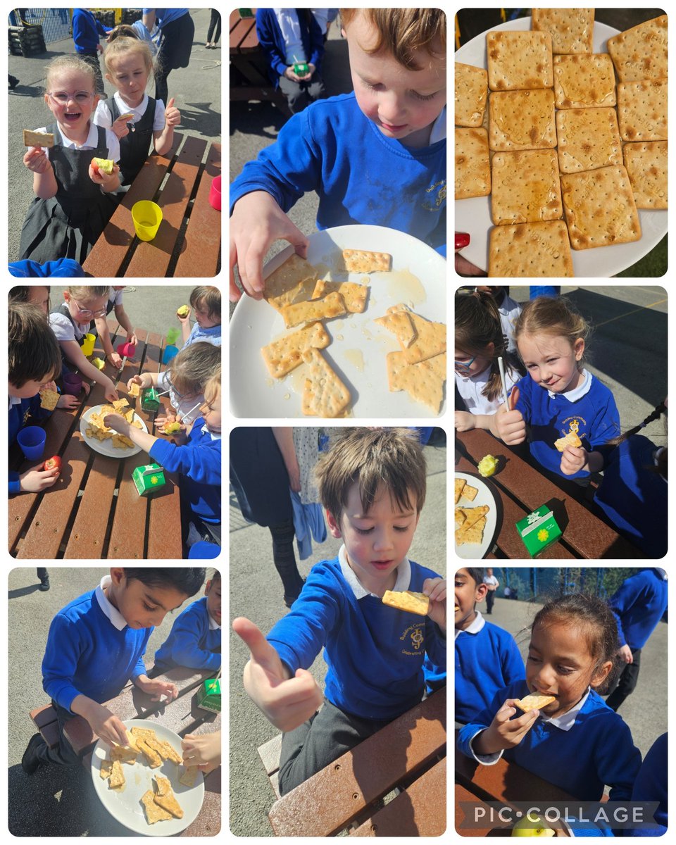 stjosephskly's tweet photo. Maple Class have been learning all about bees this afternoon and in outdoor learning.  We drew and painted some bees and wrote a  descriptive sentence. We also tried some hunny we loved it ! 🐝🐝🐝 #SJKoutdoorlearning #SJKeyfs #MapleClass @bcw_cat https://t.co/hYndCNnacc
