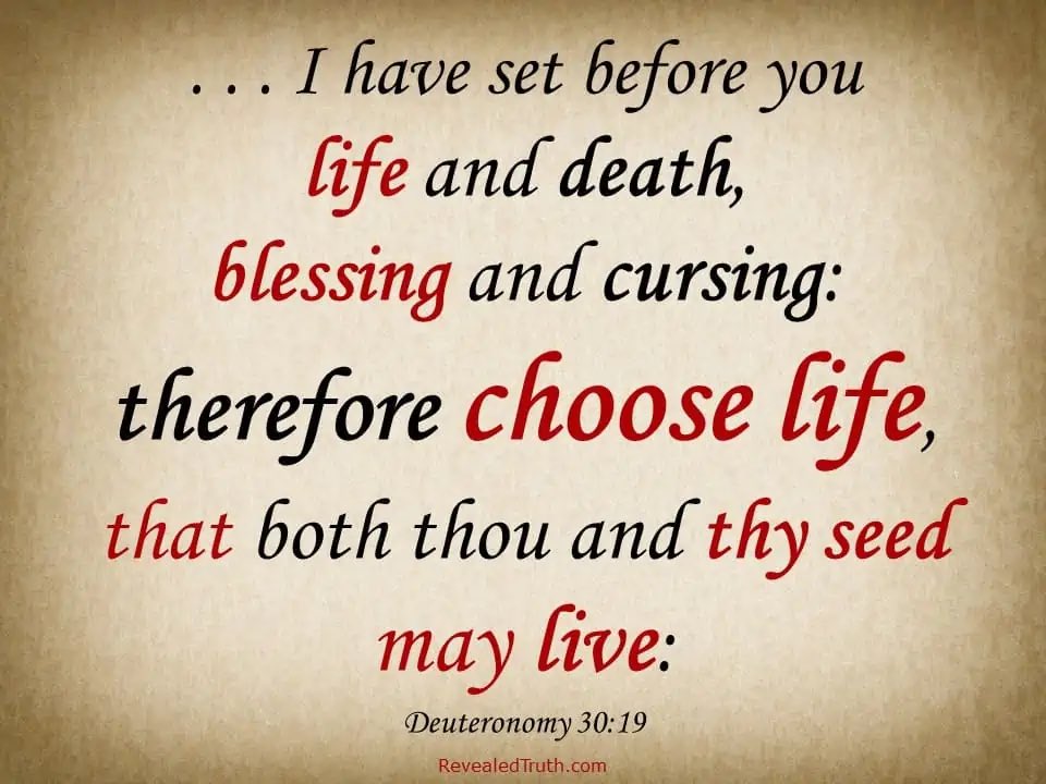 Choose Life.… ✝️1430✝️ @noreen05291 @SquidSwenson007 @RightWingCltrUK @Edsandyman @Christian3XL @Loco4Boca @PatriotPunkin1 @jamiebrazil47 @Patriot_Sons @MischiefMoth86 @SamieJustSamie @LionessDeb19 @JanetTX_Blessed @BillH1059 @River3The @rosejam181920 @Cynthiab0013 @PFr1end…