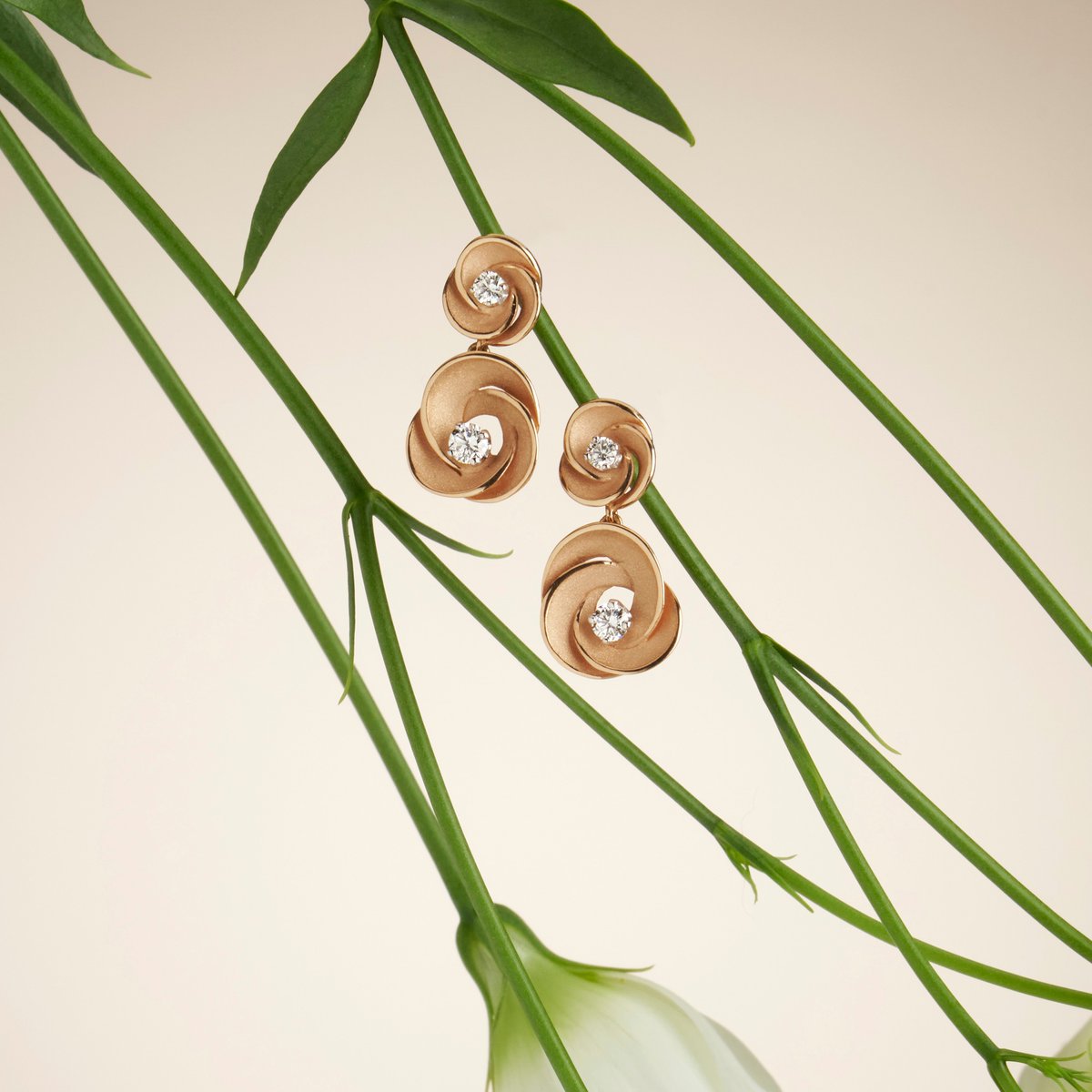 MandCoJewellers's tweet photo. Soft gold weaves capture the gentle and charming essence of spring, giving the Desert Rose collection a timeless beauty.
Call in for beautiful jewellery by Annamaria Cammilli at Martin and Co.
#annamariacammilli #essentialcollection #desertrose https://t.co/aDDgXhazKB