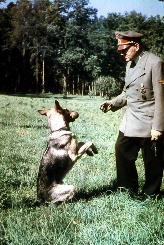 ¿Cómo podéis odiar a Adolf Hitler si amaba a los perros?. #políticadeEspaña #IroníaON