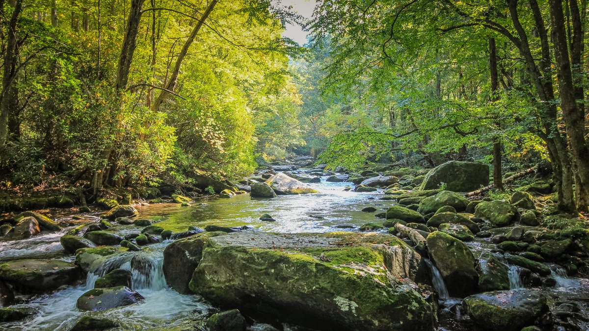 A team from @UMassGeo that specializes in accounting for the #CO2 released by #water bodies recently demonstrated that a chemical process known as “carbonate buffering” can account for the majority of #emissions in highly alkaline waters. umass.science/49YapmM