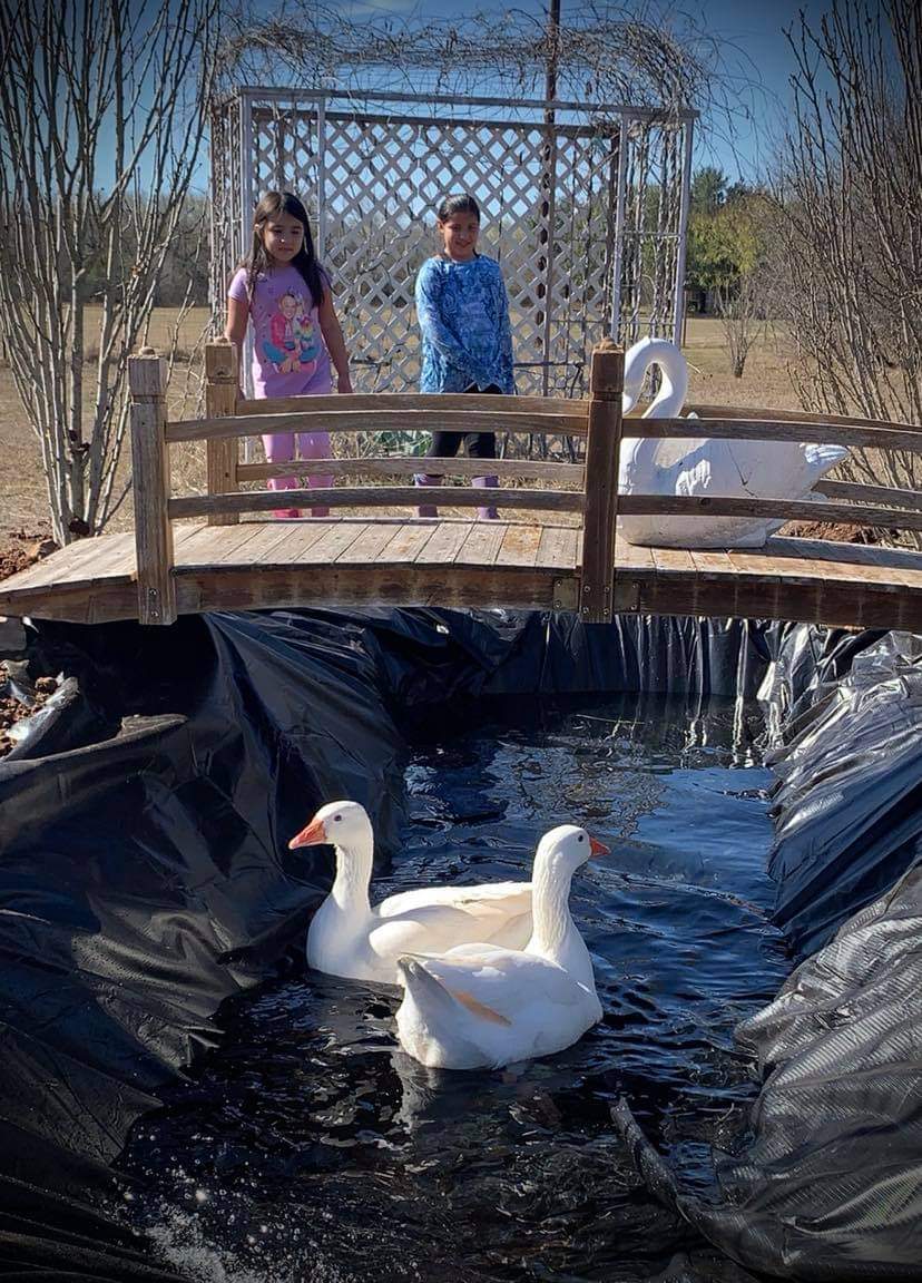 Yep. Our Littles are #Homeschooled and stay at the #Ranch often. They take off in the morning to care for animals, help with planting thru harvesting They understand animal husbandry better than most adults. They accept death and celebrate animal births. Enjoy Dirt! #Independent