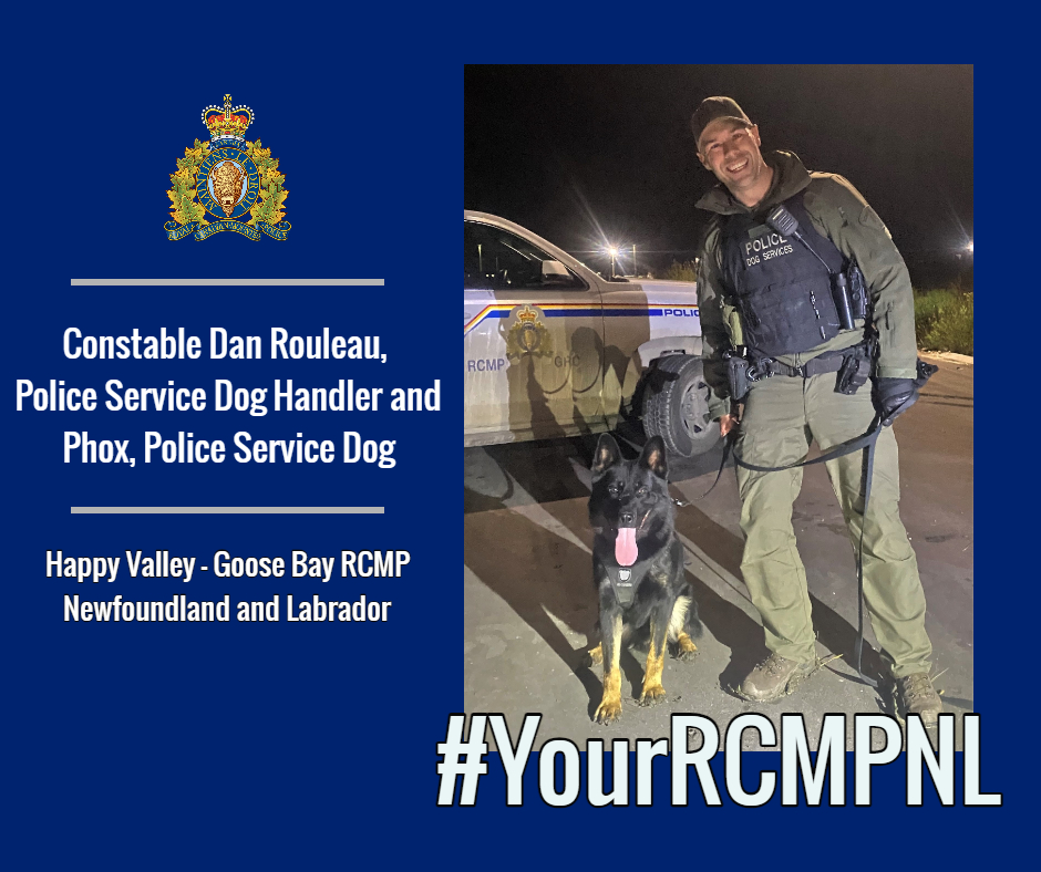 Say Hello to Constable (Cst.) Dan Rouleau and Police Service Dog (PSD) Phox!  - rcmp-grc.gc.ca/en/news/2024/s…

#YourRCMPNL