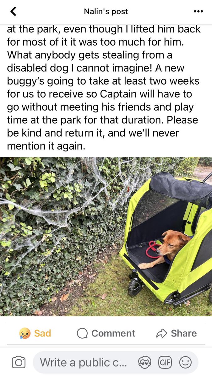 ❗️DOG BUGGY for DISABLED DOG #Stolen #ClissoldPark #London ❗️ Copied from Facebook 🙏 facebook.com/share/p/qy1Lfw…