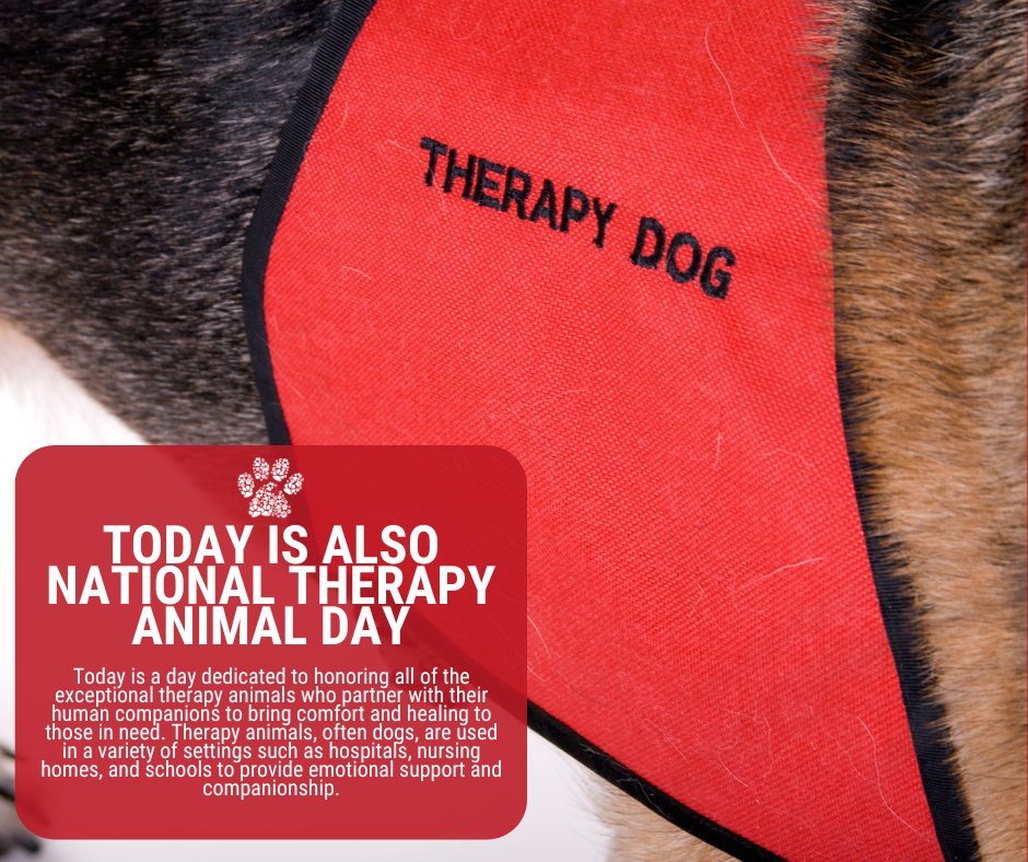 Happy National Therapy Dog Day! Let's take a moment to appreciate the incredible work these dogs do every day. Their unwavering love and support have a profound impact on the lives of many. Share your therapy dog stories with us #wpp #NationalTherapyDogDay woundedpawproject.org