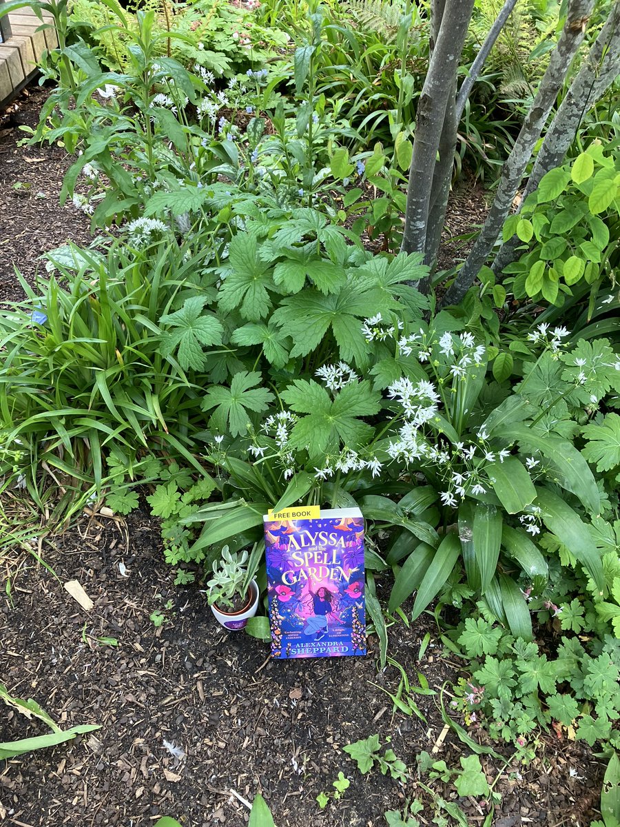 We spent Monday afternoon touring bookshops with @alexsheppard to sign copies of Alyssa and the Spell Garden 🌸 Did you find any of the special copies we left in green spaces around London?