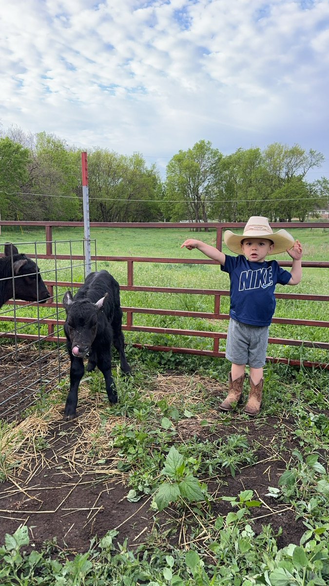 This little boy loves cows and I hope he turns it into a passion someday. We are still working on a name but Owen loves her!