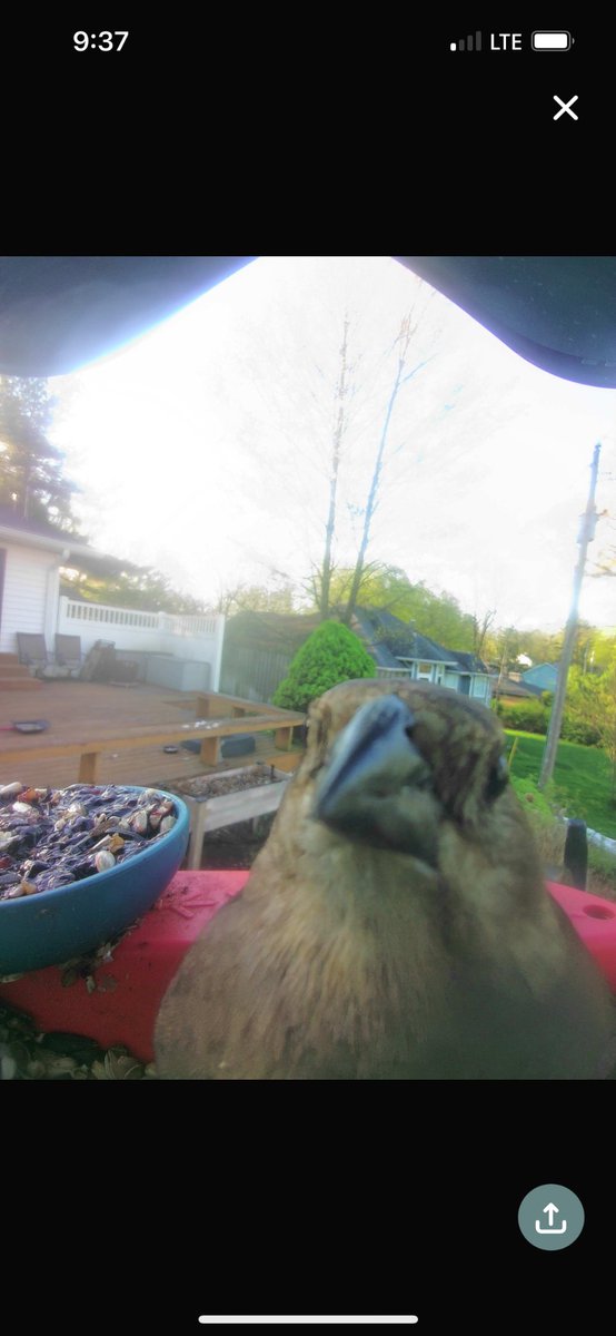 Hey you! This bird is just checking in to ensure you’re having a good morning