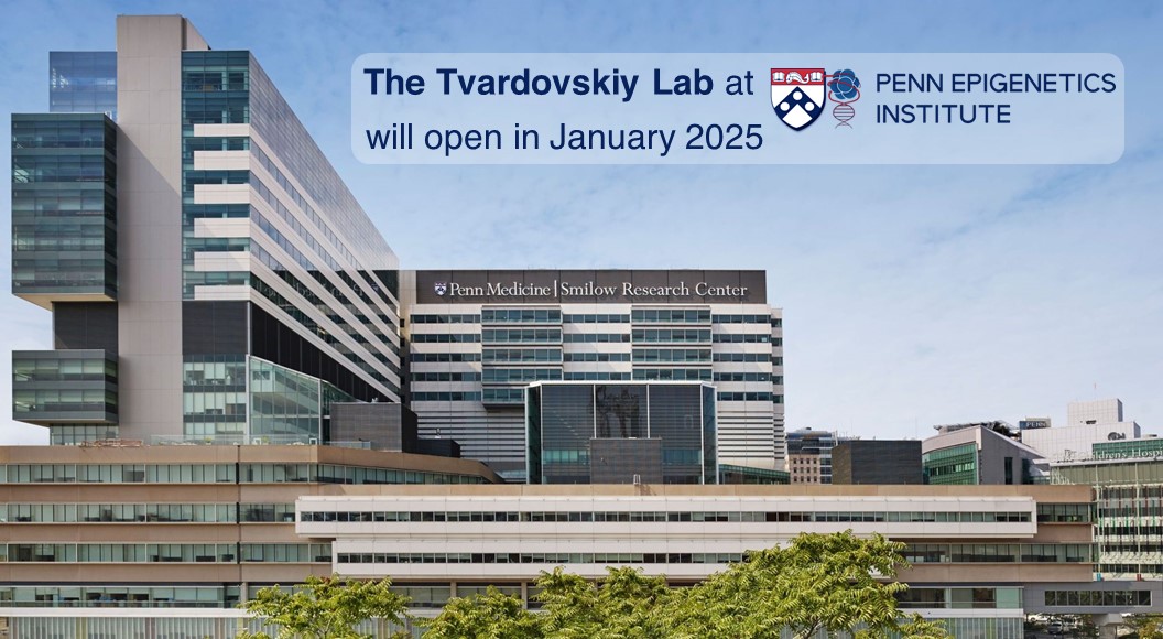 Thrilled to announce that I will be joining @BB_UPenn as an Assistant Professor in Jan. 2025. The Tvardovskiy Lab at @PennEpiInst will investigate the molecular mechanisms underlying epigenome misregulation during aging and develop mass spec tools to advance chromatin research.