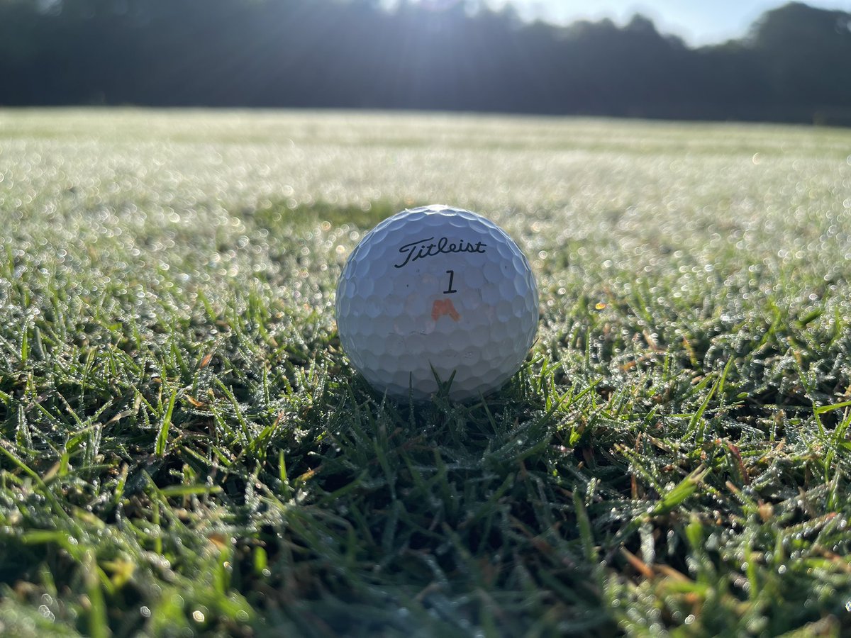 MSU Golf Course tweet media