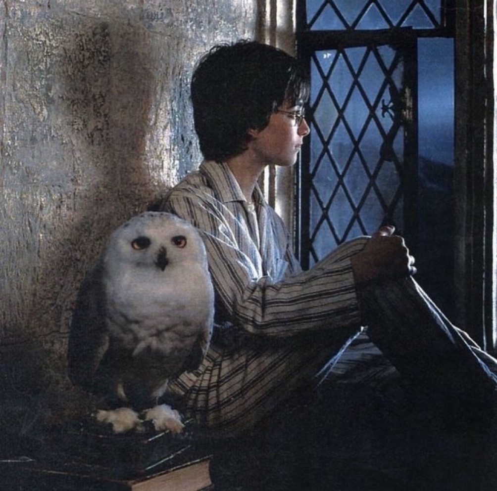 Harry’s first night at Hogwarts 🦉