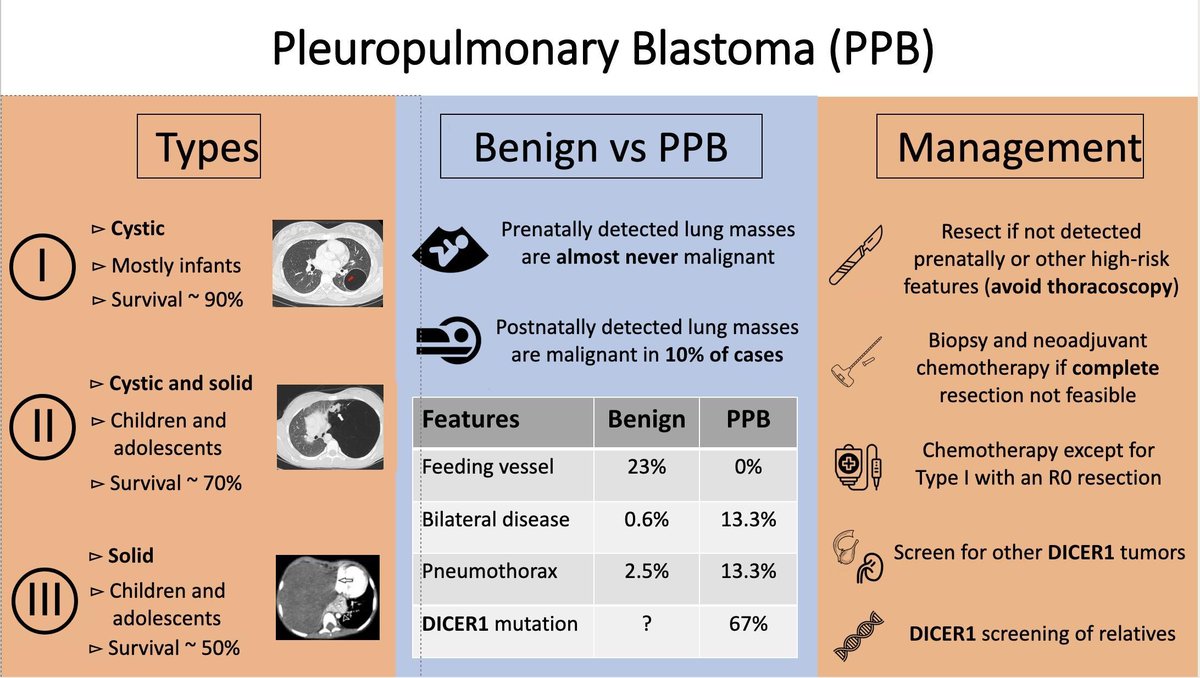 Check out this visual abstract on pleuropulmonary blastoma. #APSALearning