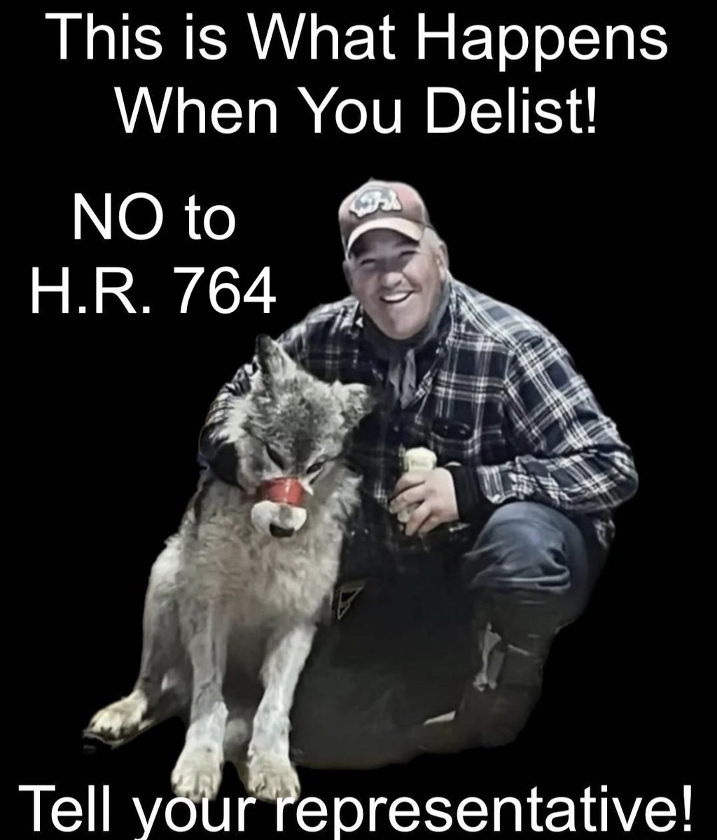 URGENT: Contact your representative, today, to VOTE NO on H.R. 764 which removes protections for all gray wolves in the U.S. and the ability for judicial remove. Enter zip code for your representative contact or call (202) 224-3121 for their phone number. ziplook.house.gov/htbin/findrep_…