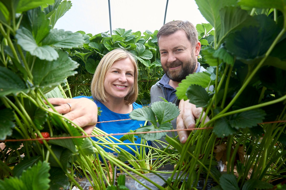 Today marks the beginning of Scottish Agritourism Month, a wonderful opportunity to celebrate the diverse range of agritourism businesses across Scotland. Tag your favourite Scottish agritourism businesses, let's share the love! #ScottishAgritourismMonth #GoRural