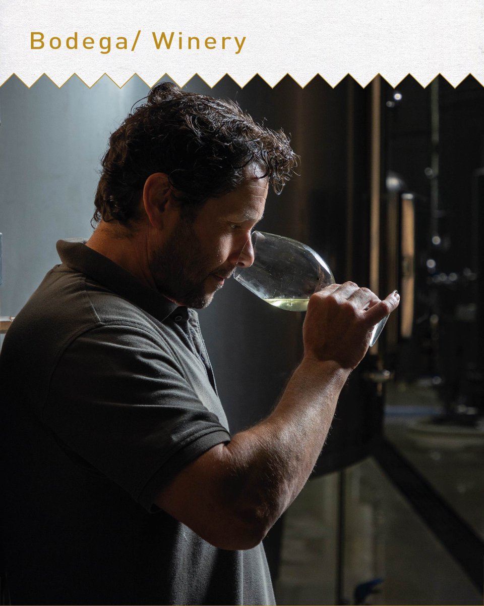 At Finca Menade we have the best winemaking facilities for the alcoholic fermentation of all our wines and for the production of our youngest wines. Richard Sanz works with great intuition and sensitivity, looking after the wines every day. #madebynature #organicwines