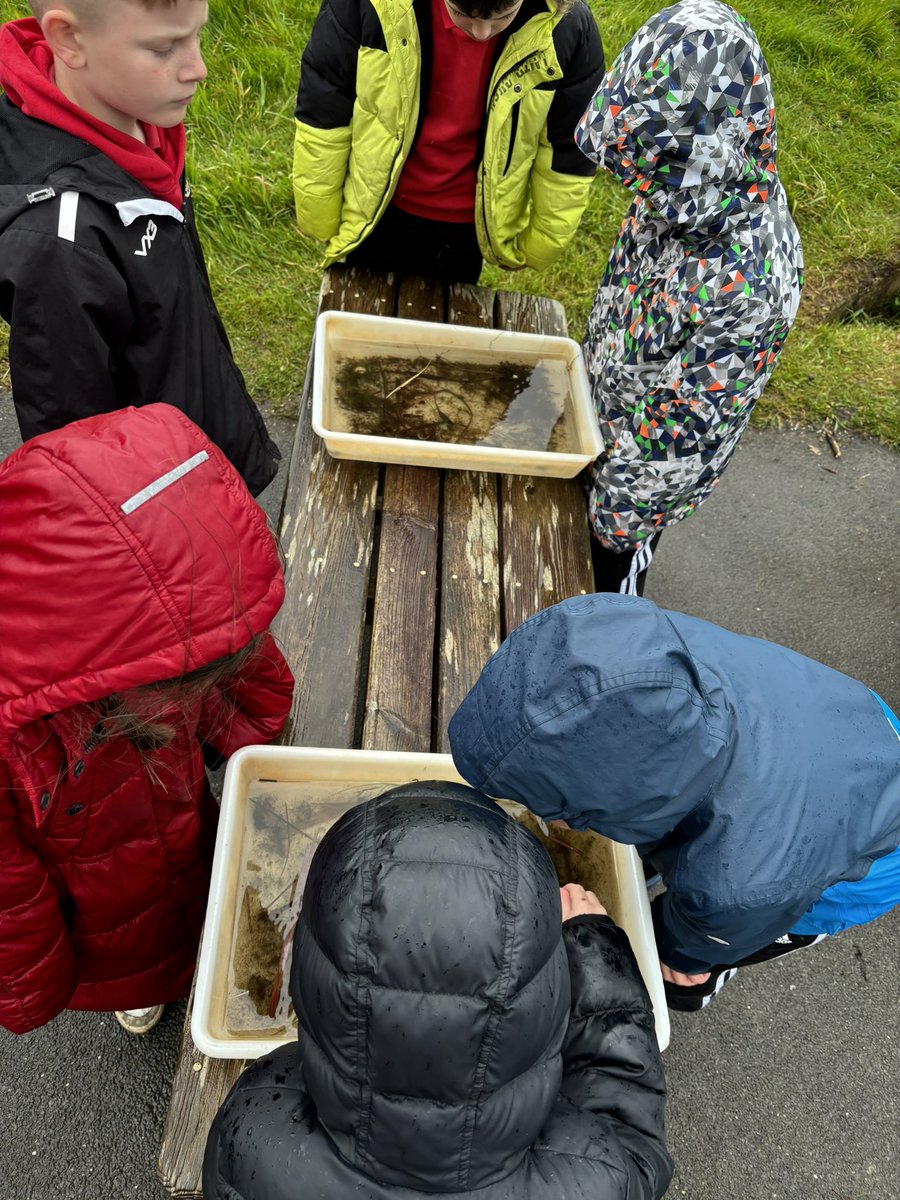 What can be found in the ponds at @WWTLlanelli? Ask Year 3!