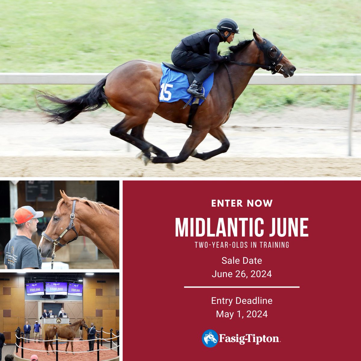 🏇 Entries close soon for the Midlantic June 2YO Sale! #FasigMD

Enter now 👉 fasigtipton.co/clientportal