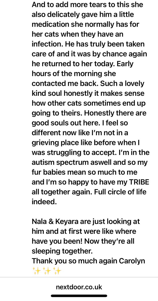 🤯And then one of the kickers to this #missingCat twisted tale. . . The lady who messaged me has the same name as my mum, I was like 👀 what is this !

When I tell you my inner child was😭🥺🥹 Like what a full CIRCLE miracle moment
There are really GENTLE 
S🫧ULS out here❤️‍🔥