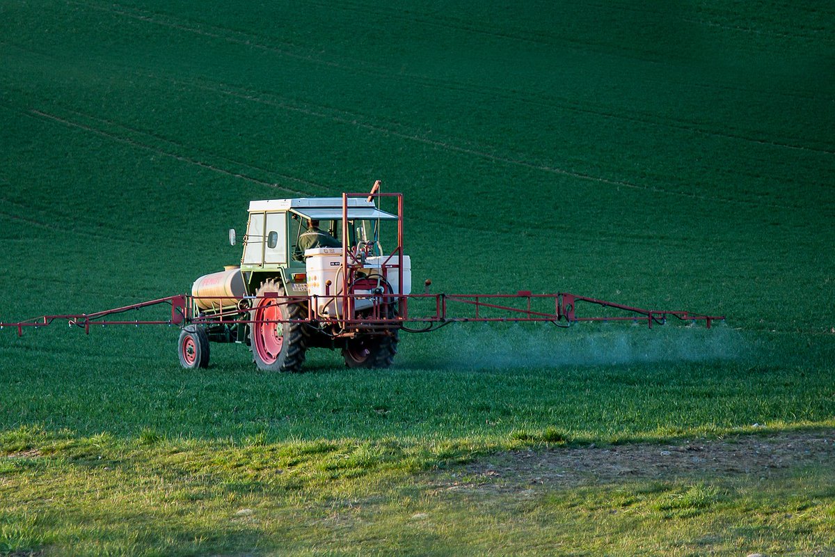 Residui di pesticidi negli alimenti in calo secondo l’EFSA dlvr.it/T6D5vJ