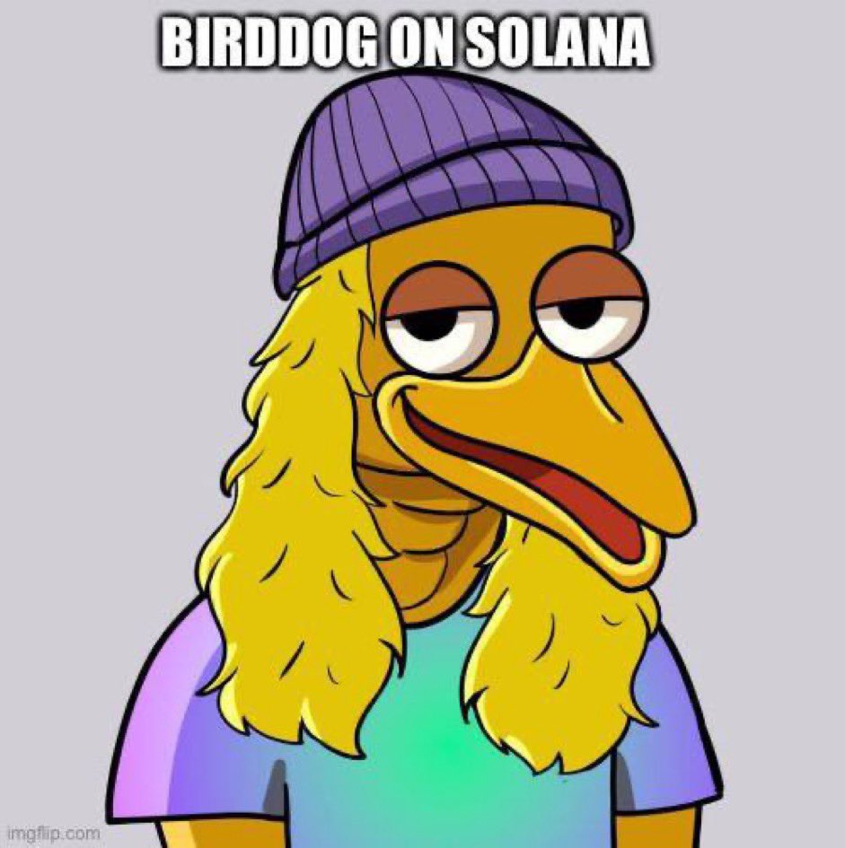 @metaversejoji Easiest conviction play has to be #BirdDog @SOLbirddog bc the narratives there with being the 5th OG homie of $Pepe and $Brett and also one look at how the community vibes is soo reassuring 💎💎come see what we mean ! CA: 3XTp12PmKMHxB6YkejaGPUjMGBLKRGgzHWgJuVTsBCoP