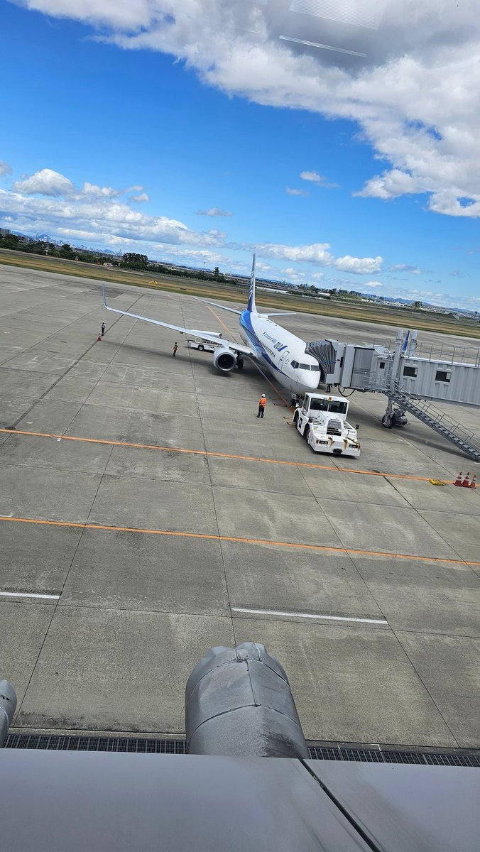 #4月を写真4枚で振り返る 新幹線と飛行機沢山乗りました😅