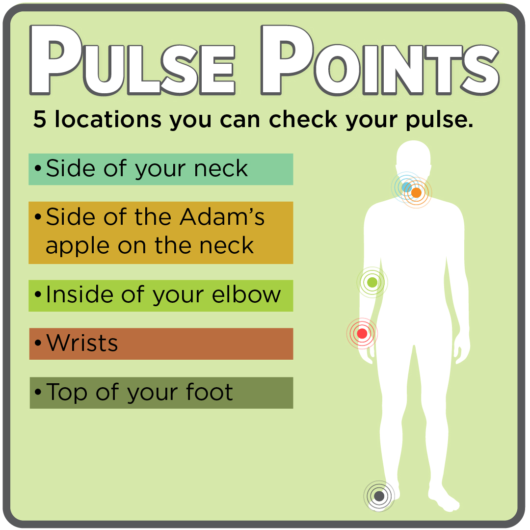Practice finding your pulse, especially before starting an exercise program. Hold a finger over the spot and count the number of beats in 60 seconds or count for 15 seconds and multiply by four. Learn more -> shine365.marshfieldclinic.org/heart-care/hea… #pulse #heart #heartrate