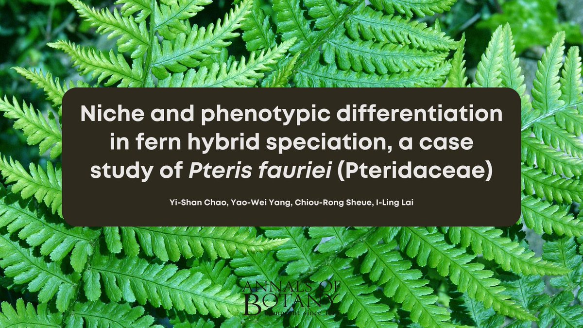 🎉Good news! The new paper ‘Niche and phenotypic differentiation in fern hybrid speciation, a case study of Pteris fauriei (Pteridaceae)’ in @annbot by SYi-Shan Chao and co-authors is now #free for a limited time. (1/7)

👉 botany.fyi/l9P3cd

#AoBpapers #FernEcology #Botany