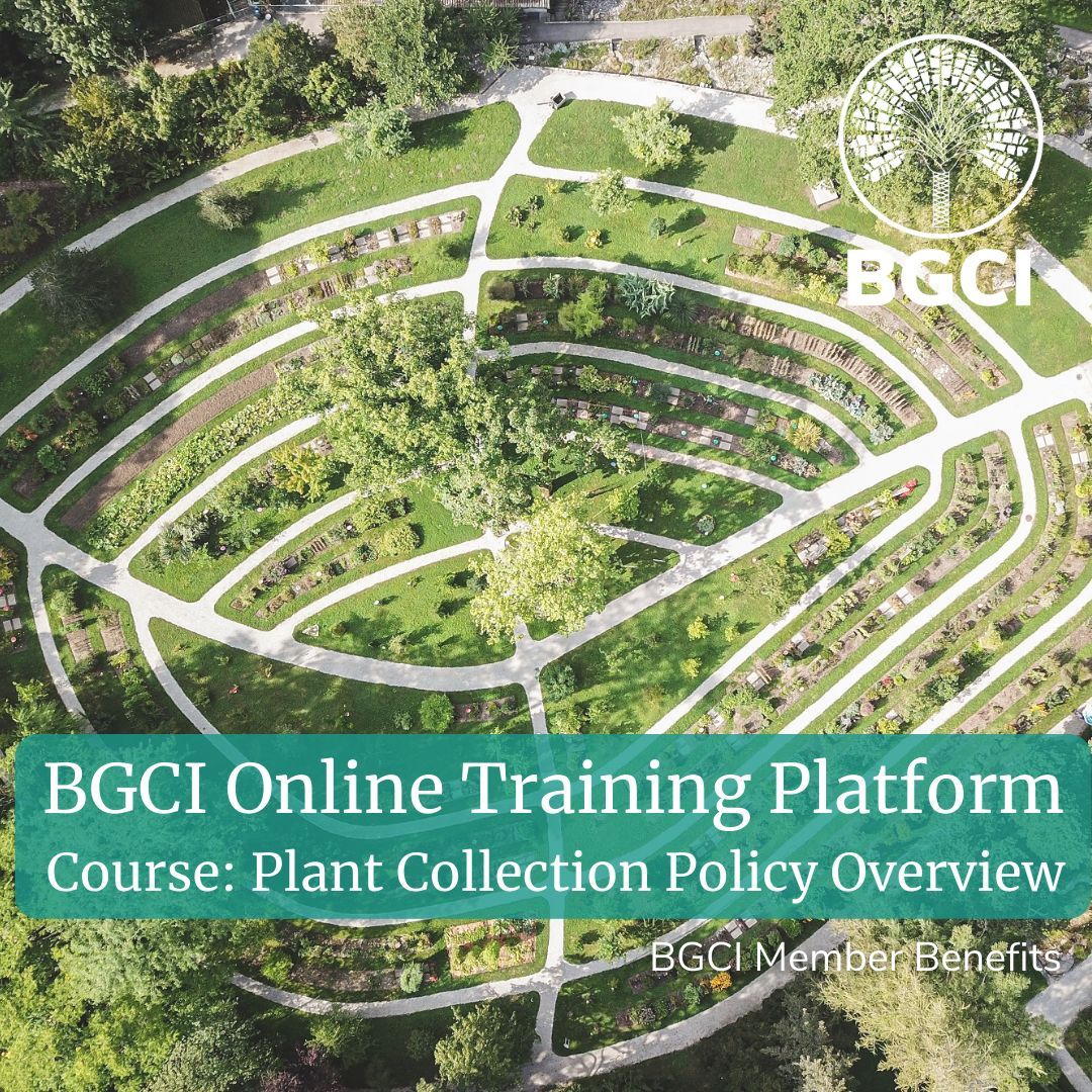 #DidYouKnow that BGCI Membership includes access to our online training platform? The 'Plant Collection Policy Overview' course teaches you about policy, purpose and how to develop your collection. More courses available: buff.ly/3xtEvRH #ConservationTraining