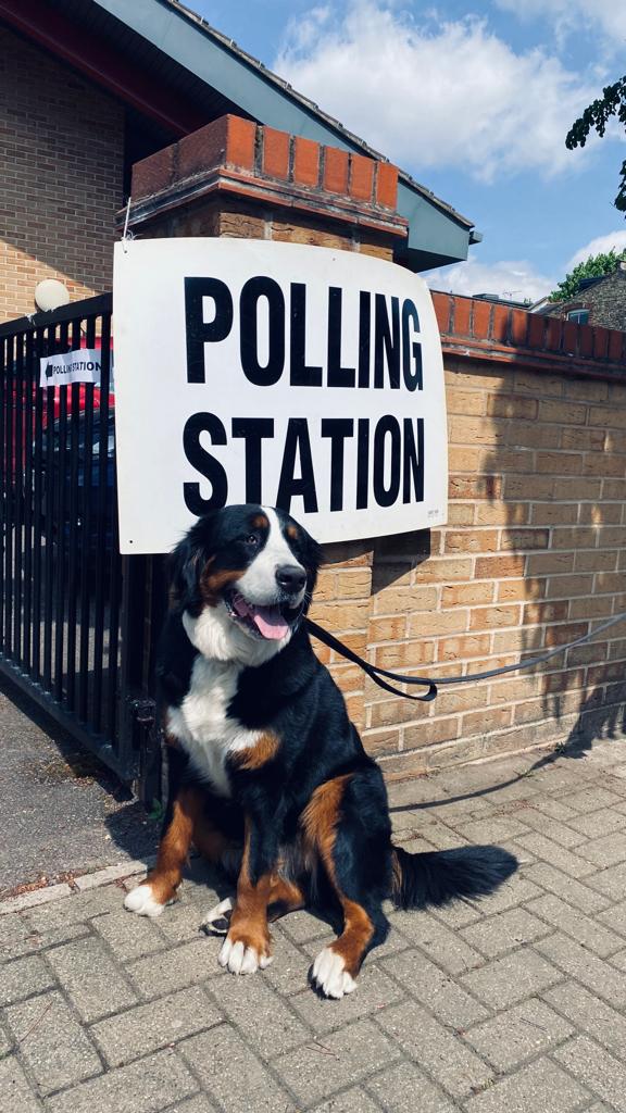 Taking your dog with you to the polls on Thursday? Tag us in your pics and use the hashtag #DogsAtPollingStations.

Remember to bring a pal to hold your pooch whilst you vote, as only assistance dogs are permitted inside the polling stations.

#Election