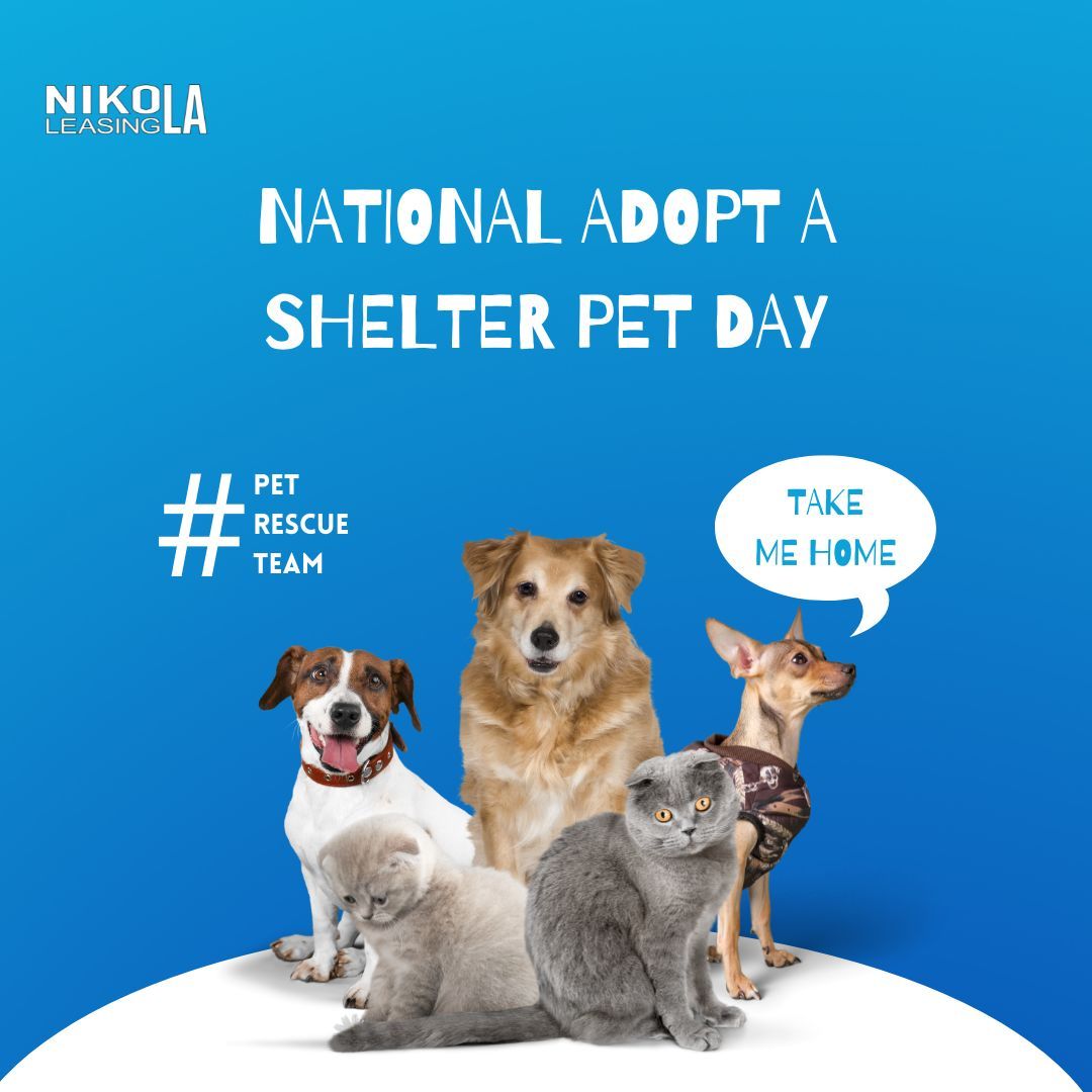 Give a shelter pet a forever home on National Adopt a Shelter Pet Day! Spread love and compassion by welcoming a new furry friend into your family. Adopt, don't shop! 🐾❤️ 

#AdoptAShelterPetDay #RescueAnimals #ForeverHome