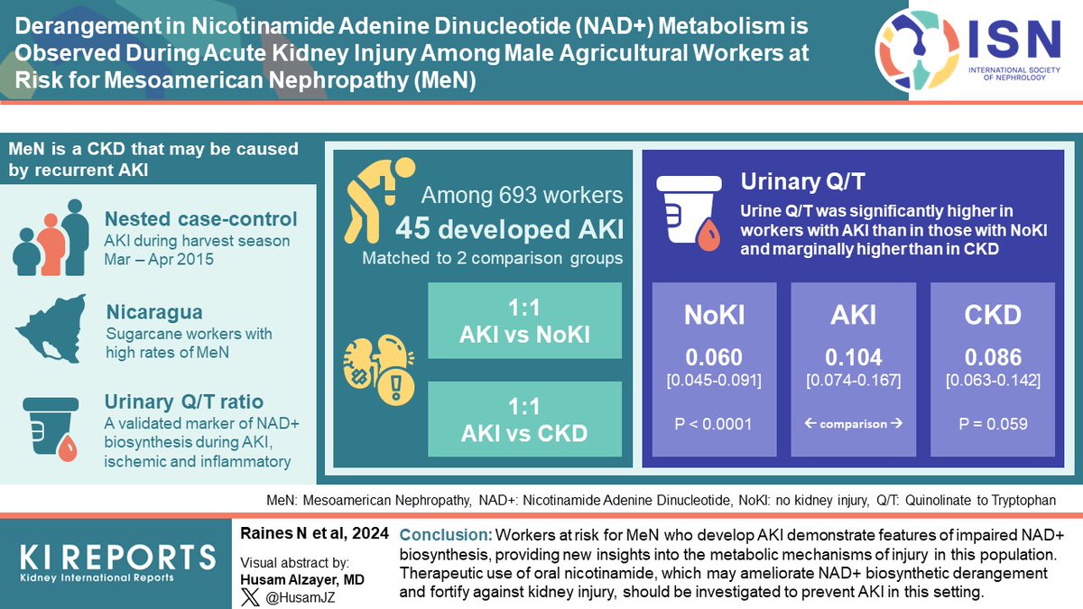 Derangement in #Nicotinamide Adenine Dinucleotide (NAD+) Metabolism is Observed During Acute Kidney Injury #AKI Among Male Agricultural Workers at Risk for #MesoamericanNephropathy #VisualAbstract by @Husamjz kireports.org/article/S2468-… @nateraines3